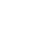 Logo UD